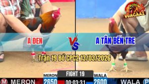 Trận 19 Bồ CPC2 13/3/2026 - Việt Nam Nạp Siết Mỹ Lật Xe Hết Sửa