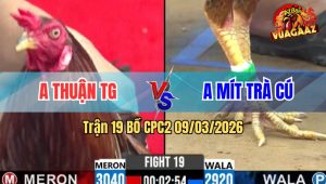 Trận 19 Bồ CPC2 9/3/2026 - Khét Dí Bặc Ăn 6 Bị Điều Đá Cho Chảy Máu