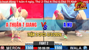 Trận 2 Bồ CPC2 4/3/2026 - Đỏ Đá Xanh Mướn Hư hết Buông Ra Xanh Đá Lại Chạy