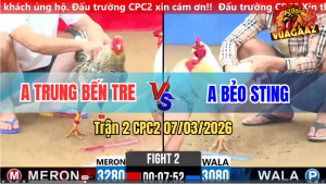 Trận 2 CPC 2 7/3/2026 - Đẳng Cấp Nài Gà Anh Kiểm Cà Mau Hạ Đối Thủ Tuyệt Đối
