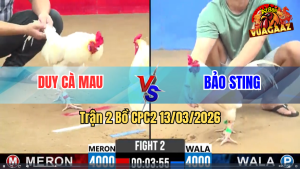 Trận 2 Bồ CPC2 13/3/2025 - Xanh Dí Bạc Buông Ra Đỏ Đá Cứng Mình Chạy