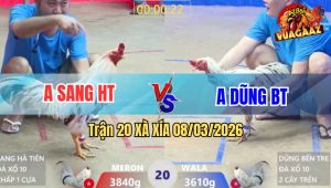 Trận 20 Bồ Xà Xía 8/3/2026 - 2 Con Đá Chân Khủng Hoảng Buông Ra Đỏ Lọt Chết Trước