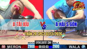Trận 20 CPC3 03/3/2026 - Xanh Tránh Né Đâm Chân Đỏ Lỏ Xách Đui Ra