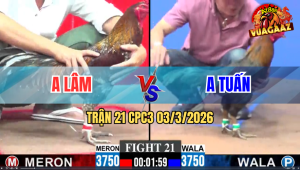 Trận 21 CPC3 03/3/2026 - Điều Xanh Đá Đúng 1 Chân Đâm Xám Lọt Bỏ Chạy