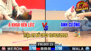 Trận 21 Bồ CPC3 12/3/2026 - Điều Canh Chặn Khôn Khéo Đá Bướm Hư Hình Cứng Mình Xỉu