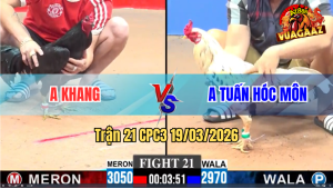 Trận 21 Bồ CPC3 19/3/3026 - Bướm Chạy Đạt Đá Cho Ô Phải Khủng Hoảng