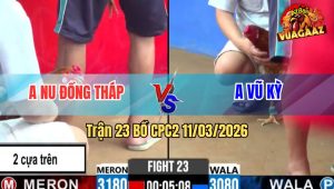 Trận 23 Bồ CPC2 11/3/2026 - Úa Anh Nu Siết 3 Chân Đầm Vàng Vũ Kỳ Lật Xe Té Giữa Sân