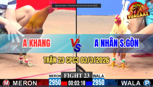 Trận 23 CPC3 03/3/2026 - Điều Có Chân Tiền Đâm Bướm Hết Sửa