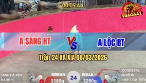 Trận 24 Bồ Xà Xía 8/3/2026 - Xanh Nhẹ Ký Chấp Ngông Vào Đá Đúng 1 Cây Đỏ Tốc Chạy