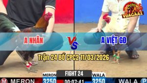 Trận 24 Bồ CPC2 11/3/2026 - Điều Đá Chân Nào Cũng Đâm Úa Xỉu Trong Chân