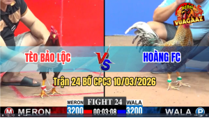 Trận 24 Bồ CPC3 10/3/2026 - Điều Đá Cú Té Cú Đá Lại Điều Nằm