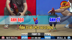 Trận 24 Bồ CPC2 14/3/2026 - Bướm Idol Có Chân Nghiệt Đâm Đỏ Lật Xe