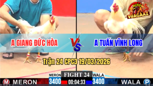 Trận 24 Bồ CPC3 19/3/3026 - Đỏ Đá Chân Nào Cũng Đâm Hạ Xanh Gọn Gàng