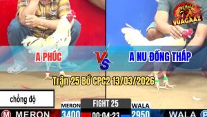 Trận 25 Bồ CPC2 13/3/2026 - Úa Chấp Ngông Bướm Đâm Cây Lọt Nách Xỉu Rinh Ra