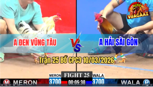 Trận 24 Bồ CPC3 10/3/2026 - Điều Nhấp 3 Chân Đâm Bướm Té Cắm Đầu