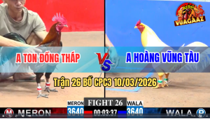 Trận 26 Bồ CPC3 10/3/2026 - Điều Đá Cây Lọt Đâm Úa Ói Chết Hết Phản