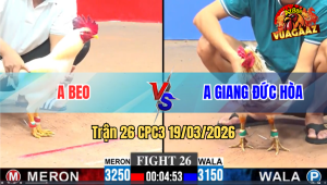 Trận 26 Bồ CPC3 19/3/3026 - Úa Liền Gà Đá Như Sát Thủ Bướm Không Có Cửa Vào