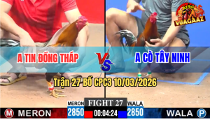 Trận 27 Bồ CPC3 10/3/2026 - Xanh Đá Cây Lọt Nặng Đâm Đỏ Ói Chết Tại Chỗ