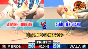 Trận 27 Bồ CPC3 19/3/3026 - Đỏ Của Má Minh Đá Bo Lớn Tới Phút 90 Hạ Xanh Về Sau