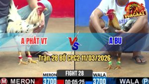 Trận 28 Bồ CPC2 11/3/2026 - Xám Dí Bạc Ăn 6 Bướm Đá Cây Ngay Đầu Rinh Ra