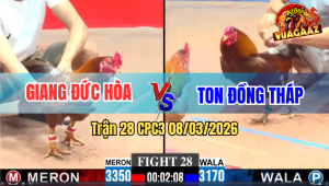 Trận 28 CPC3 8/3/2026 - Đỏ Cố Hết Sức Nhưng Xanh Vẫn Về