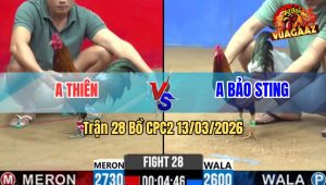 Trận 28 Bồ CPC2 13/3/2026 - Điều Idol Dẫn Tang Từ Đầu Phút 90 Bị Đá Chân Phản Té