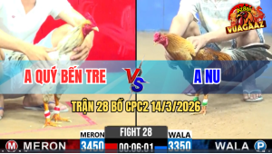 Trận 28 Bồ CPC2 14/3/2026 - Đỏ Dí Bạc Anh Nu Gom Bồ Kéo Lúa Thành Công