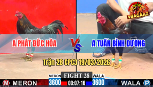 Trận 28 Bồ CPC3 19/3/3026 - Que Xanh Đá Chân Nào Là Nghiệt Chân Đó Điều Hết Cản Phá