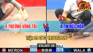 tran-29-bo-cpc3-19-3-3026