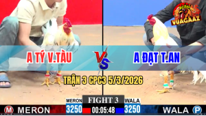 Trận 3 Bồ CPC3 5/3/2026 - Úa Đá Đúng 1 Chân Bướm Chết Tại Chỗ