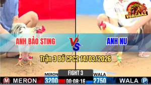 Trận 3 Bồ CPC2 14/3/2026 - Anh Bảo Sting Tài Nghệ Nài Gà Phản Anh Nu Ăn 3