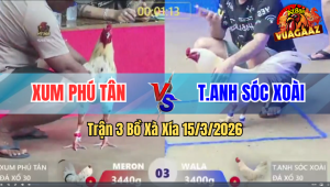 Trận 3 Bồ Xà Xía 15/3/2026 - Bướm Vào Kính Có Chân Phản Quá Hay Ăn Ngược Gà Úa