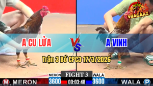 Trận 3 Bồ CPC3 17/3/2026 - Điều Dẫn Tang Từ Đầu Xám Gồng Tới Phút 90 Ăn Ngược