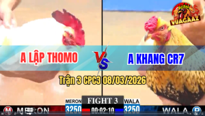 Trận 3 CPC3 8/3/2026 - Úa Mồng Lá Đá Cựa Kinh Khủng Hạ Điều Nhanh Gọn Lẹ