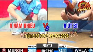 Trận 3 Bồ CPC2 9/3/2026 - Que Đá Điều Cây Quá Nghiệt Điều Chết Tại Chỗ