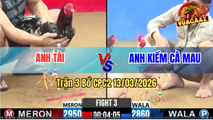 Trận 3 Bồ CPC2 13/3/2025 - Bướm Siết Đúng 3 Chân Đâm Bông Xỉu Trong Chân