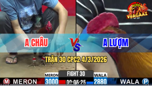 Trận 30 Bồ CPC2 4/3/2026 - Que Đá Khét Không Kịp Dở Chân Về Bờ Nhanh Gọn