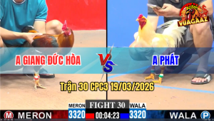Trận 30 Bồ CPC3 19/3/3026 - Gà Úa Đâm Như Chĩa Điều Hết Đứng Chỉ Sau Tay Nước Đầu
