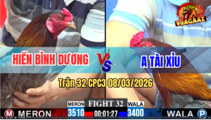 Trận 32 CPC3 8/3/2026 - Điều Đá Chân Nào Cũng Đâm Xám Hư Toàn Tập Rinh Ra