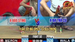 Trận 32 Bồ CPC2 13/3/2026 - Điều Cọp Chấp Anh Bảo Sting Vần Hạ Idol Về Nhẹ Nhàng