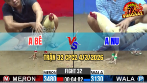 Trận 32 Bồ CPC2 4/3/2026 - Chuối Nạp 2 Chân Đâm Bướm Chêt Trên Tay