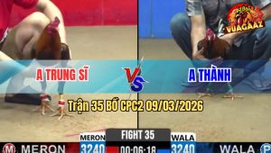 Trận 35 Bồ CPC2 9/3/2026 - Que Đuôi Lao Nhấp Mấy Chân Đâm Đỏ Bay Bồ