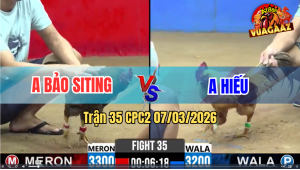 Trận 35 CPC2 7/3/2026 - Bướm Siết Đúng 1 Chân Đâm Đỏ Té Lật Xe