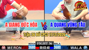Trận 36 Bồ CPC3 17/3/2026 - Gà Xanh Đá Đâm Như Giang Hồ Hạ Đỏ Tuyệt Đối