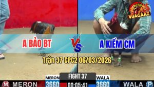 Trận 37 Bồ CPC2 6/3/2026 - Kiểm Cà Mau Thất Bại Trước Anh Bảo Bến Tre