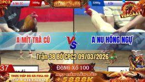 Trận 38 Bồ CPC2 9/3/2026 - Xanh Chấp 4 Chấm Vẫn Về Bờ Nhẹ Nhàng