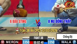 Trận 38 Bồ CPC2 13/3/2026 - Huynh Đệ Tương Tàn Bảo Sting Hạ Đẹp Anh Nu