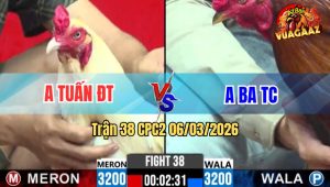 Trận 38 Bồ CPC2 6/3/2026 - Điều Đá Chân Nghiệt Đâm Bướm Xỉu Tuyệt Đối Xách Đui Ra
