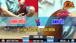 Trận 39 CPC2 7/3/2026 - Đỏ Đá Chân Nào Cũng Đâm Xanh Ngã Tuyệt Đối Hết Phản