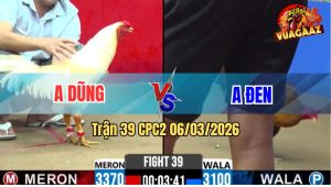 Trận 39 Bồ CPC2 6/3/2026 - Úa Đá Như Xe Đung Điều Chạy Be Miệng Không Kịp